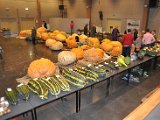 DSC_0177.jpg