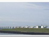 OKRAZeeland00006.jpg